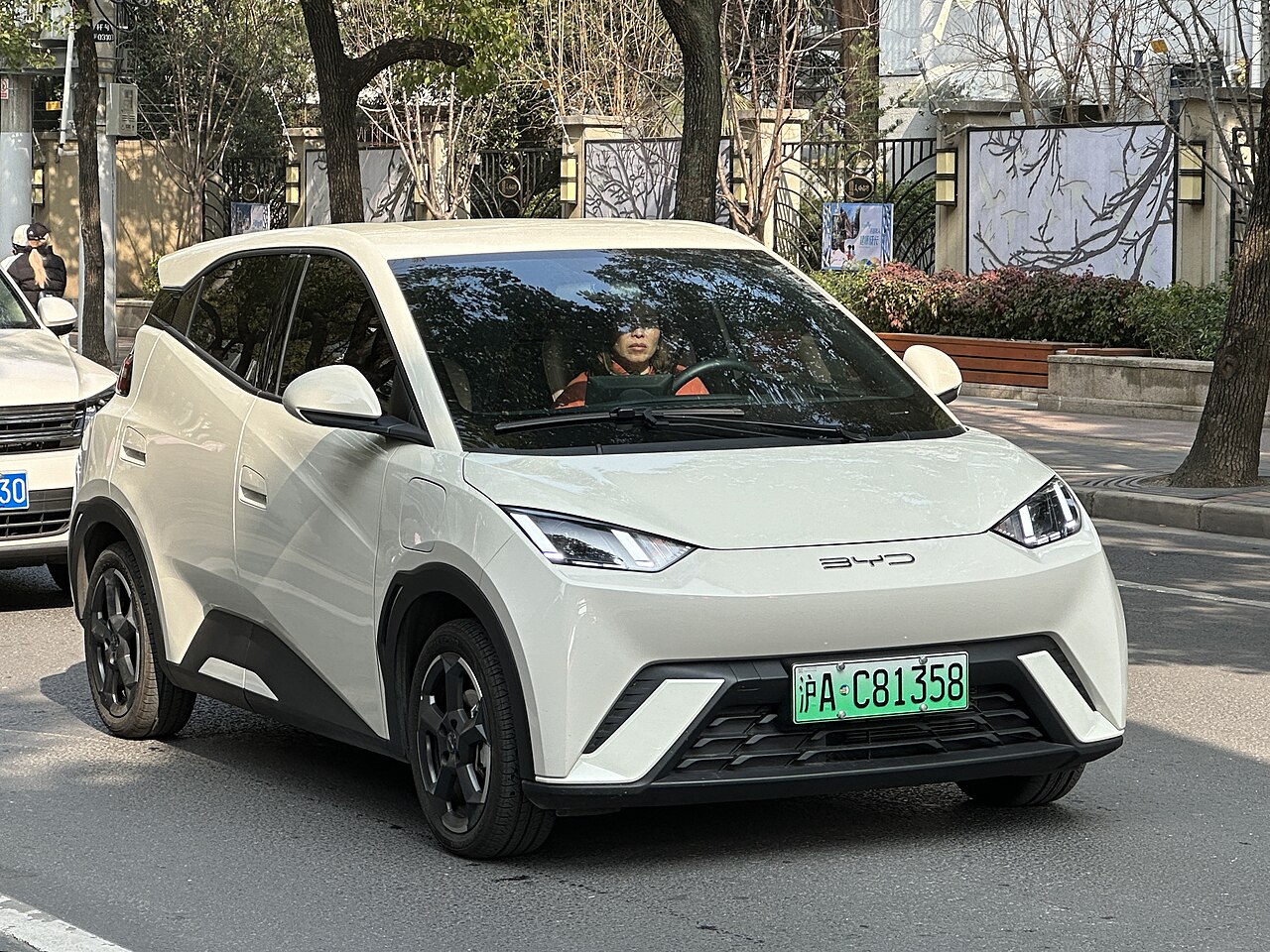 BYD Dolphin Mini — imagem 1 de 4